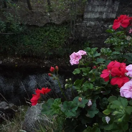 فندق Il Giardino Del Rio 3*
