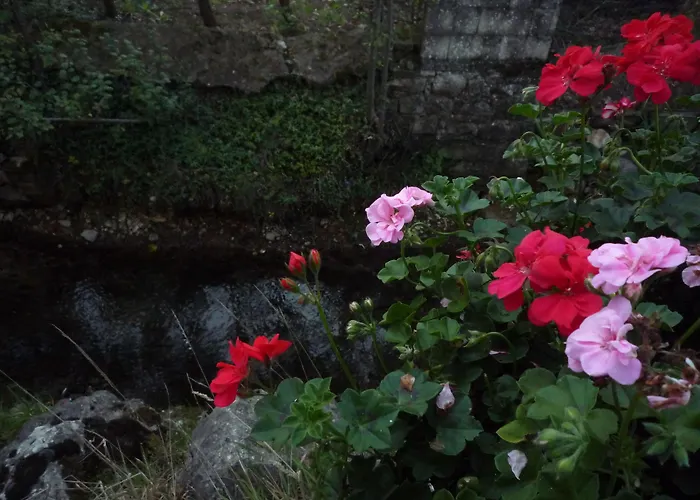 Hotel Il Giardino Del Rio
